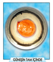 gunesintamicindemini1.jpg